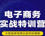 民赛电气内部出品:电子商务实战特训营,全方位带你入门电商,308种方式玩转电商-知一资源网