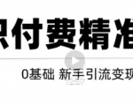 玩转知识付费项目精准引流，给你1套课多账号操作落地方案！-知一资源网
