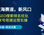 2022蓝海赛道,新风口:短视频SEO搜索排名优化+企业商家号搭建运营实操-知一资源网