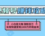 玩转微信视频号赚钱:小白变大咖涨粉百万实现快速变现1000万的现金流-知一资源网