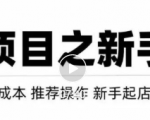 虚拟项目快速起店模式,0成本打造月入几万虚拟店铺!-知一资源网