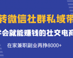 玩转微信社群私域带货,学会就能赚钱的社交电商,在家兼职副业再挣8000+-知一资源网