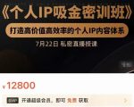 个人IP吸金密训班，打造高价值高效率的个人IP内容体系（价值12800元）-知一资源网