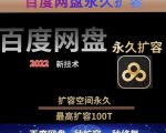 百度网盘无限扩容技术,外面卖399的,无论自己用还是用做引流都可以-知一资源网