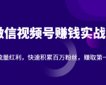 微信视频号赚钱实战:抓住流量红利,快速积累百万粉丝,赚取你的第一桶金-知一资源网
