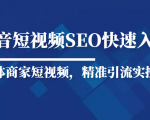 抖音短视频Seo搜索排名优化新手快速入门教程,实体商家短视频,精准引流实操课-知一资源网