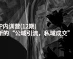 新媒体IP内训营(12期),一套全新的“公域引流,私域成交”IP打法,直接带走-知一资源网