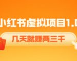 《小红书虚拟项目1.0》账号注册+养号+视频制作+引流+变现,几天就赚两三千-知一资源网