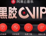 网易云音乐撸黑胶年卡及变现方法，收益可无限放大-知一资源网