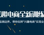 兴趣电商全新训练营：打破品销边界，带你玩转“兴趣电商“实现业务增长-知一资源网