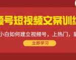 视频号短视频文案训练营:0基础小白如何建立视频号,上热门,能卖货!-知一资源网