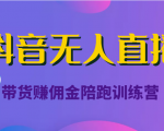 抖音无人直播带货赚佣金陪跑训练营(价值6980元)-知一资源网