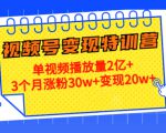 21天视频号变现特训营:单视频播放量2亿+3个月涨粉30w+变现20w+(第14期)-知一资源网
