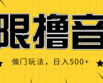 抖音直播无限撸音浪,简单可复制,偏门玩法,日入500+【视频教程】-知一资源网