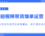 2023短视频带货爆单运营,从账号定位到学会选预爆品,到代理完成出单(价值1250元)-知一资源网