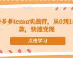 跨境拼多多temu实战营,从0到1打造爆款,快速变现-知一资源网