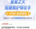 瑶瑶·自然流短视频IP孵化第二期,14天线上实战训练营,赋能100个人成为有数据能赚钱的独立IP孵化手-知一资源网