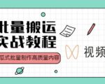 视频号批量搬运实战操作运营赚钱教程,傻瓜式批量制作高质量内容【附视频教程+PPT】-知一资源网