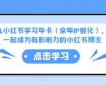 厦九九小红书学习年卡(全年IP孵化),沉浸式学习,一起成为有影响力的小红书博主-知一资源网