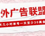 外面收费1980的最新国外LEAD广告联盟搬砖项目,单号一天至少30美金【详细玩法教程】-知一资源网