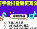 新手做抖音如何写文案,手把手实操如何拆解热门文案-知一资源网