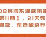 108将淘系爆款陪跑营【第11期】，21天教运营打爆款，帮老板培养运营-知一资源网