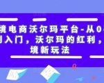 跨境电商沃尔玛平台-从0基础到入门,沃尔玛的红利,跨境新玩法-知一资源网