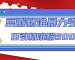 豆瓣精准暴力引流,日引精准粉500+【12课时】-知一资源网