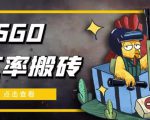 外面9800的CSGO汇率搬砖项目,一个月轻松赚几千【选品软件+详细教程】-知一资源网