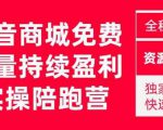 抖音商城搜索持续盈利陪跑成长营,抖音商城搜索从0-1、从1到10的全面解决方案-知一资源网