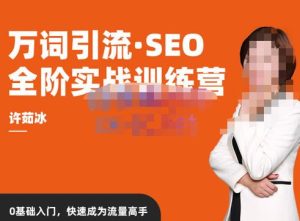 许茹冰·万词引流-SEO全阶实战训练营,0基础入门,快速成为流量高手-知一资源网
