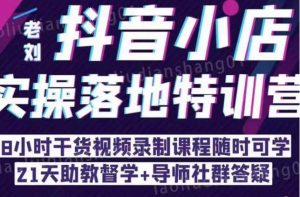 抖音小店实操落地特训营:抖音小店无货源精细化运营,抖店商品卡流量(22节)-知一资源网