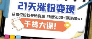 21天精准涨粉变现干货大课:从10位粉丝开始变现月增5000+变现20w+-知一资源网