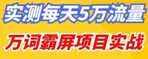 百度万词霸屏实操项目引流课,30天霸屏10万关键词-知一资源网