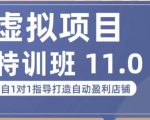 陆明明·虚拟项目特训班(10.0+11.0),0成本获取虚拟素材,0基础打造自动盈利店铺-知一资源网