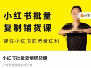 张宾·小红书批量复制铺货课,抓住小红书的流量红利 (更新2023年2月)-知一资源网