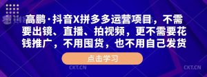高鹏·抖音X拼多多运营项目,不需要出镜、直播、拍视频,不需要花钱推广,不用囤货,不用自己发货-知一资源网