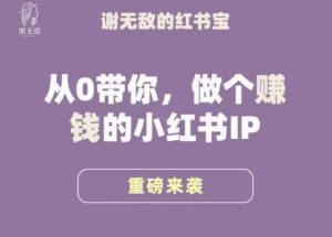 谢无敌·小红书运营大宝典,从0带你做个赚钱的小红书IP-知一资源网