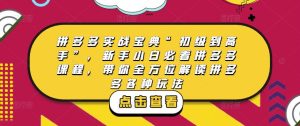拼多多实战宝典“初级到高手”，新手小白必看拼多多课程，带你全方位解读拼多多各种玩法-知一资源网