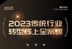 数据哥2023传统行业转型线上全案课,2023年传统行业如何转型线上,线上创业/传统转型避坑宝典-知一资源网