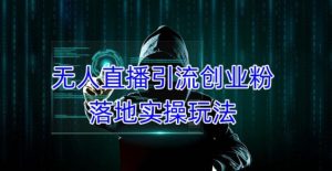 外面收费3980的无人直播引流创业粉落地实操玩法,单日引100+精准创业粉-知一资源网