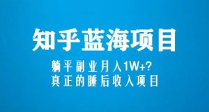 知乎蓝海玩法,躺平副业月入1W+,真正的睡后收入项目(6节视频课)-知一资源网