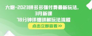 大炮·2023拼多多强付费最新玩法，3月新课​78分钟详细讲解玩法流程-知一资源网