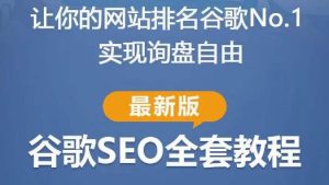 谷歌SEO实战教程:如何让你的网站在谷歌排名第一,内容从入门到高阶,适合个人及团队-知一资源网