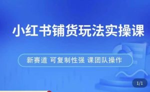 小红书铺货玩法实操课,流量大,竞争小,非常好做,新赛道,可复制性强,可团队操作-知一资源网