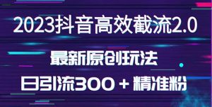 日引300+创业粉,独家抖音高效截流2.0玩法(价值1280)-知一资源网