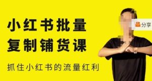 张宾·小红书批量复制铺货课,小红书0-1快速起号变现玩法,抓住小红书的流量红利(更新2023年3月)-知一资源网
