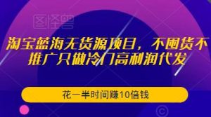 淘宝蓝海无货源项目,不囤货不推广只做冷门高利润代发,花一半时间赚10倍钱-知一资源网