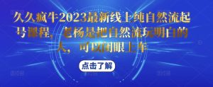久久疯牛2023最新线上纯自然流起号课程,老杨是把自然流玩明白的人,可以闭眼上车-知一资源网