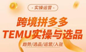 跨境拼多多TEMU实操与选品,掌握平台运营方法技巧,选品避坑12条标准,爆款的底层思路等-知一资源网